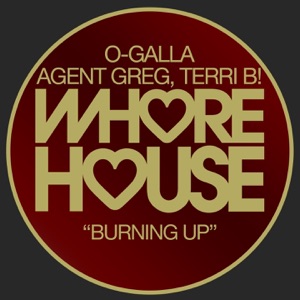 Burning Up - Single