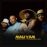 Mali Yam (feat. Trademark & MSA) - Single - Taminology