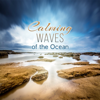 Reducing Stress - Calming Water Consort & Zen Meditation Music Academy