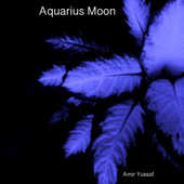 Aquarius Moon