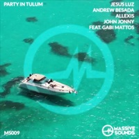 Party in Tulum (feat. Gabi Mattos) - Single - Andrew Besada, Jesus Luz, Allexis & Jhon Jonny