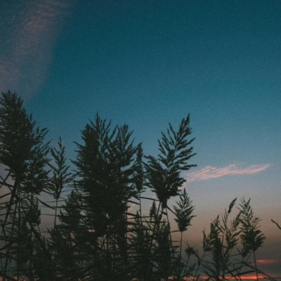 Winter In April (feat. Alex Lee-Clark & Brian Liu) - Single