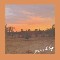 Prickly - Single - Nikki Rozz