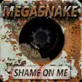 Shame On Me