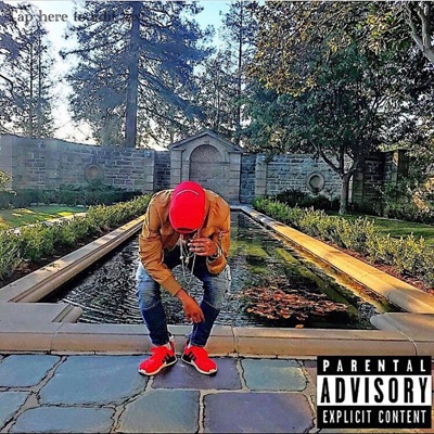 Young Niggas - Single