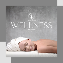 Wellness Resort - Relaxing Massage, Stress Relief, Spa Music 2021 - Spa Music Paradise Cover Art