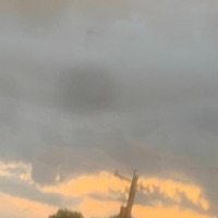 Surreal - Single - idiot