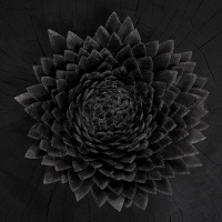 Obsidian - Jónsi
