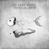 Bad Kids to the Back - Snarky Puppy