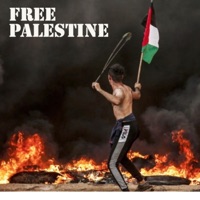 Free Palestine (feat. Dr Normul, Freestyle Master, Werd (SOS), kryptik, Jackal Trades, Damaged Goodz & Johnny Cypher) - Single - Steg G