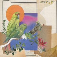 Caso De Amor Brasileiro - Psalm Trees