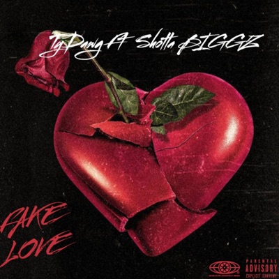 Fake Love (feat. Shotta Biggz) - Single