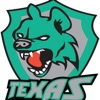 Texas Hyenas pre game song - Single