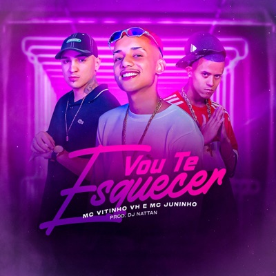 Vou Te Esquecer (feat. Mc Vitinho VH & Mc Juniinho) - Single