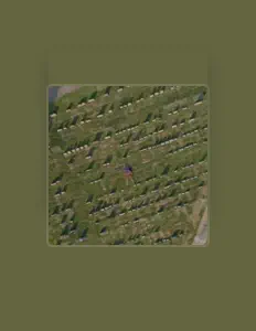 Listen to Shoun Dempsey, watch music videos, read bio, see tour dates & more!