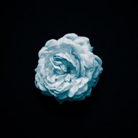 Empty Inside - Single - Dropped Out