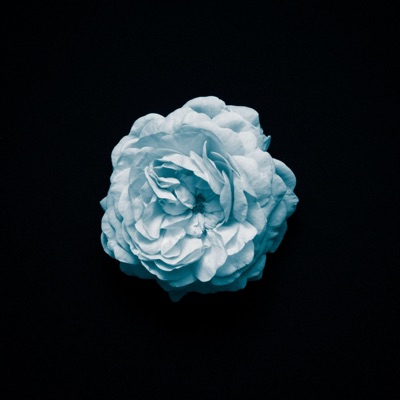 Empty Inside - Single