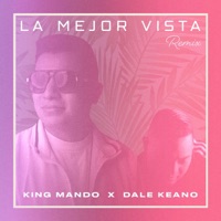 La Mejor Vista (feat. Dale Keano) [Remix] [Remix] - Single - King Mando