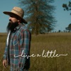 Live a Little - Single