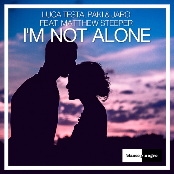 I'm Not Alone (feat. Matthew Steeper) - Single