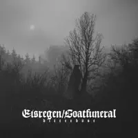Sei Mein Totenlicht — Eisregen
