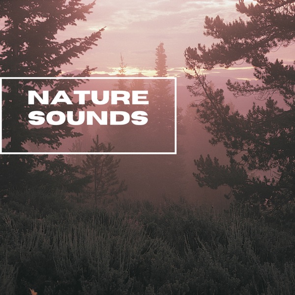 Nature Sounds - Forest In the Wild - EP
