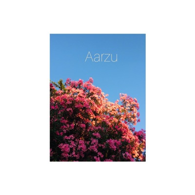 Aarzu (feat. Manthan Rangwal & JSinner) - Single