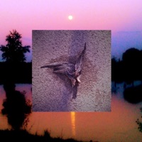 Ange Déchu - EP - Kyû 999