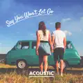 Say You Won'T Let Go (Acoustic)