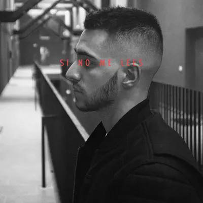 Si No Me Lees - Single - Zetazen