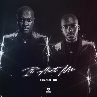 It Ain't Me - Single