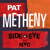 Pat Metheny - Sirabhorn