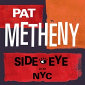 Pat Metheny - Better Days Ahead