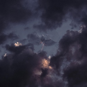 Angel - Single