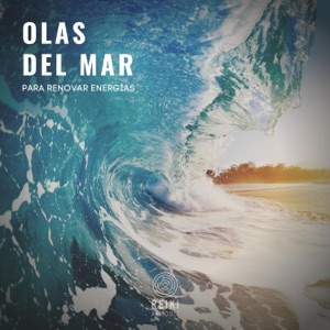 Olas del Mar para Renovar Energías