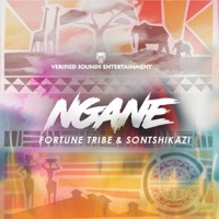 Ngane (feat. Sontshikazi) - Single - Fortune Tribe