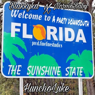 Party Down South (feat. HunchoLuke & BlakkYkd) - Single