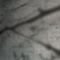 Abstract - EP - 4lienetic & Cash