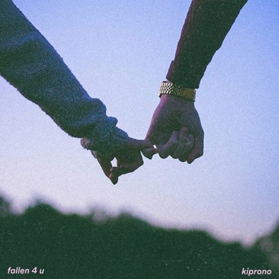 Fallen 4 U - Single