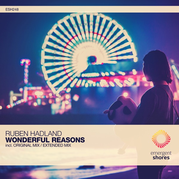 Wonderful Reasons - Single
