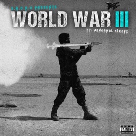 WW3 (feat. abnormal sleepz) S.H.O.K.O