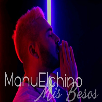 Mis Besos - Single
