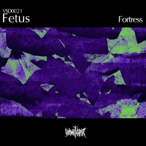 Fortress - EP