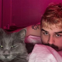 Top Now, Top Down - Single - RipThePetals