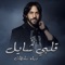 Qalbi Shail - Bahaa Sultan lyrics