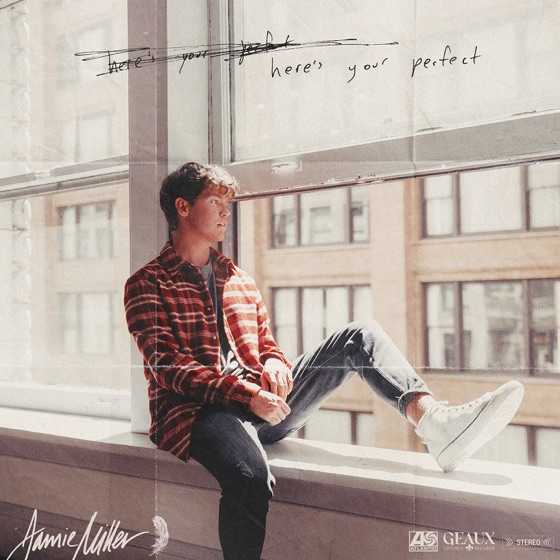 Cover artwork for Here's Your Perfect