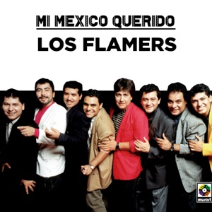 Mi México Querido