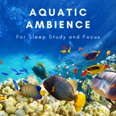 Aquatic Ambience artwork