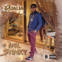 Qualia - Single - Mr. Stinky