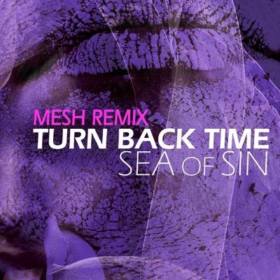 Turn Back Time (feat. Mesh) [Mesh Remix] - Single